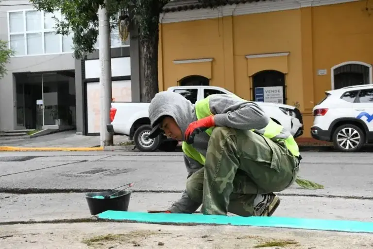 Cordones verdes