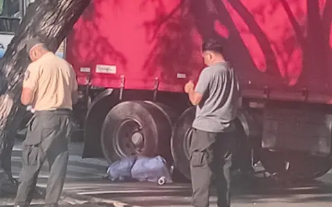 El camión que aplastó a una mujer en Salta.
