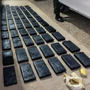 Salta: condenan a dos hombres por transportar cocaína adulterada con antiparasitario