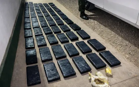 La droga secuestrada a los dos condenados