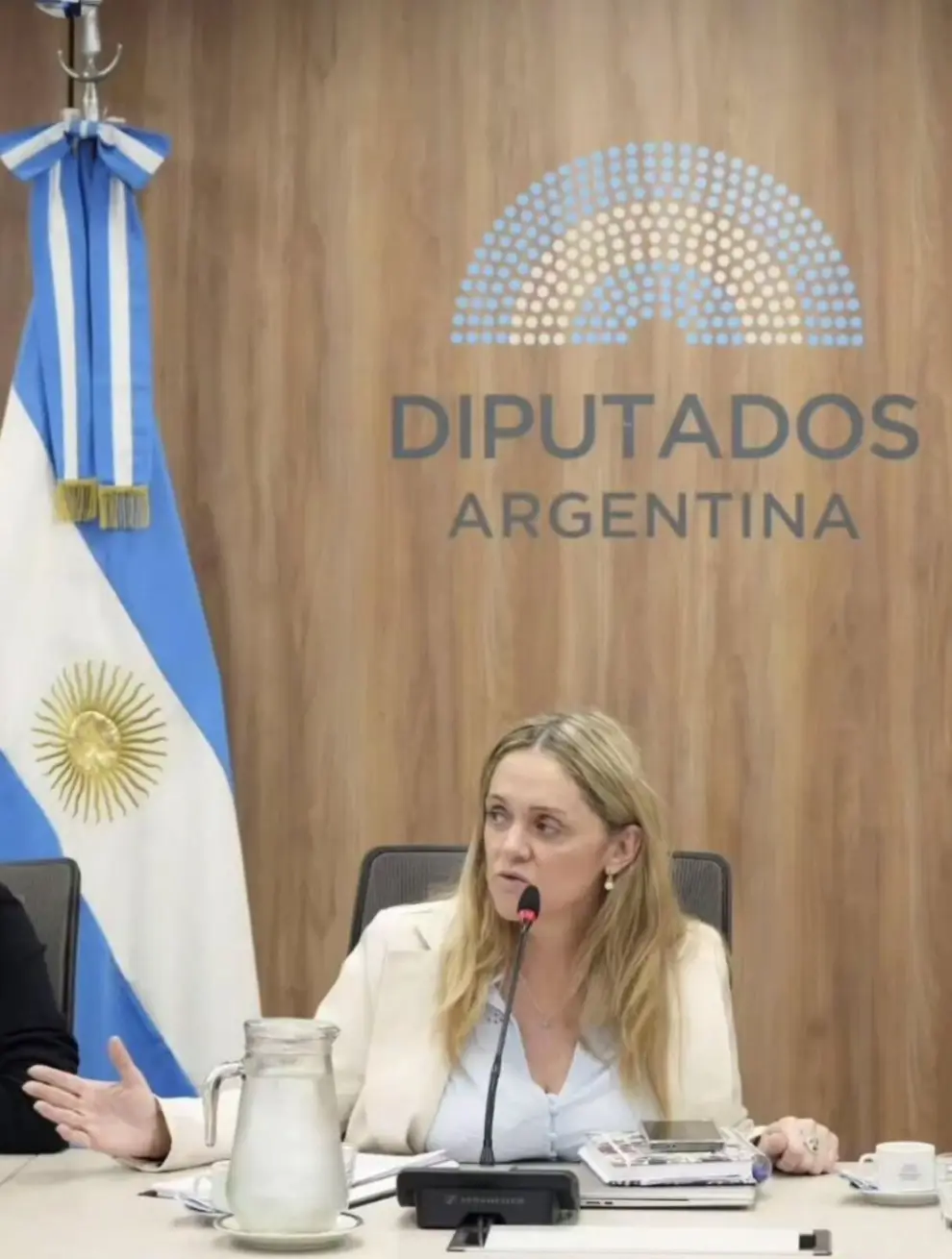Fue designada como presidenta de la Comisión de Familias, Niñez y Juventudes