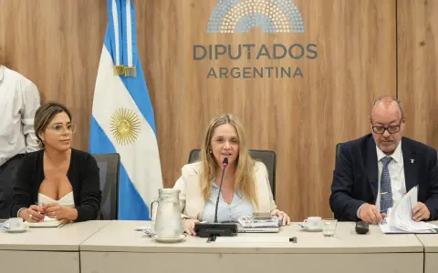 Comisión Familia, Niñez y Juventudes
