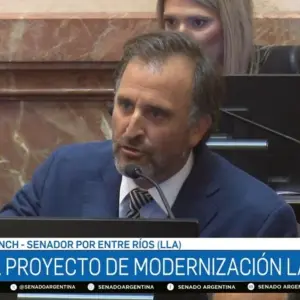 Benegas Lynch defendió la modernización laboral y vinculó la “decadencia” del país al "peronismo fascista"