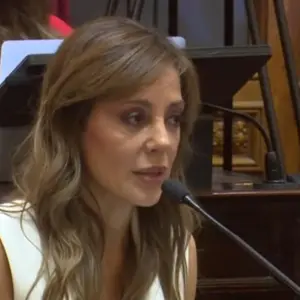 Ley de Glaciares: anuncian denuncia penal contra la senadora salteña Flavia Royón por "defender intereses mineros"