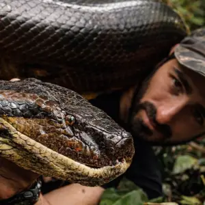 El estremecedor relato de un hombre que se dejó envolver por una anaconda y sobrevivió