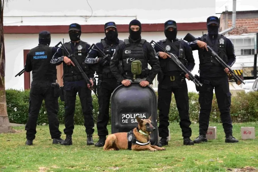 Uno de los grupos de las fuerzas de seguridad.
