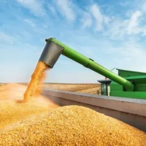 Cerealeras y aceiteras celebraron la Modernización Laboral y aseguran que impulsará el empleo formal