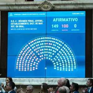 Cómo votaron y qué opinan los diputados salteños sobre la reforma penal juvenil