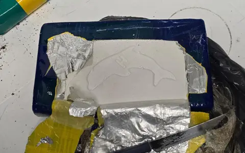 la marca de Delfín Castedo (1)