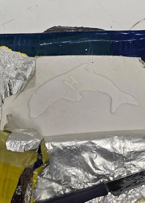 la marca de Delfín Castedo (1)