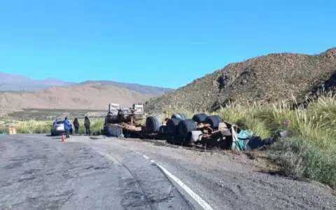 Así quedó el camión tras el siniestro en ruta nacional 51