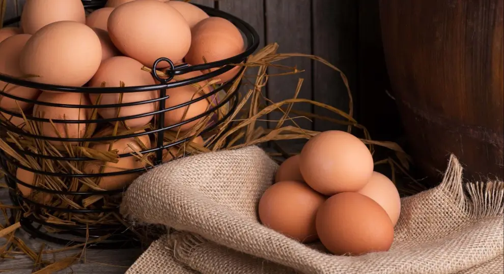 Argentina se consolidó en 2025 como el líder mundial en el consumo de huevos, alcanzando un récord histórico de 398 unidades per cápita al año.