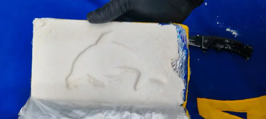 Uno de los ladrillos de cocaína con el símbolo del delfín.
