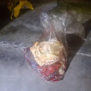 Clausura y escándalo: IMAC se despegó por residuos patógenos y negó vínculos con la Clínica del Centro