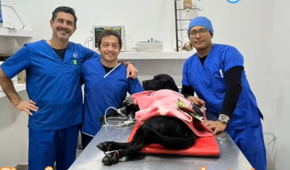 Parte del equipo de veterinarios y anestesiólogo en otra cirugía