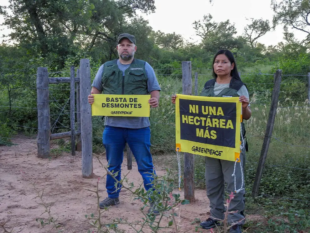 Greenpeace en 2024