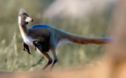 Alnashetri arriba de un Priosphenodon. 
