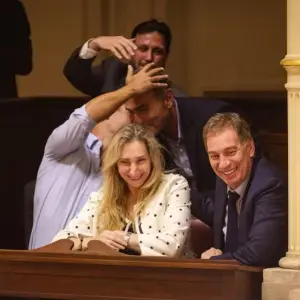 El oficialismo aprobó la reforma de la Ley de Glaciares en el Senado y el Gobierno celebró con euforia