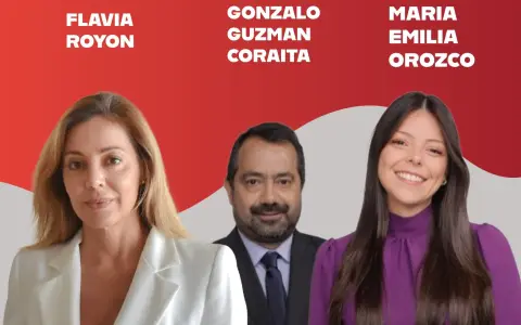 Los tres senadores salteños votaron a favor de modificar la ley para la explotación de glaciares 