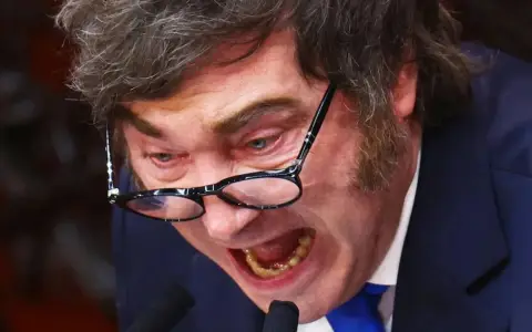 Javier Milei en el Senado