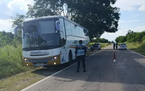 El colectivo que manejaba el detenido sobre la ruta nacional 50