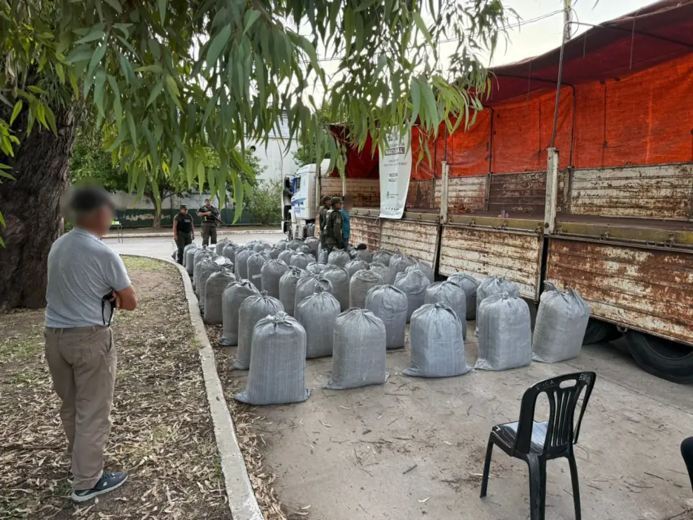Secuestro de hojas de coca en Santiago.