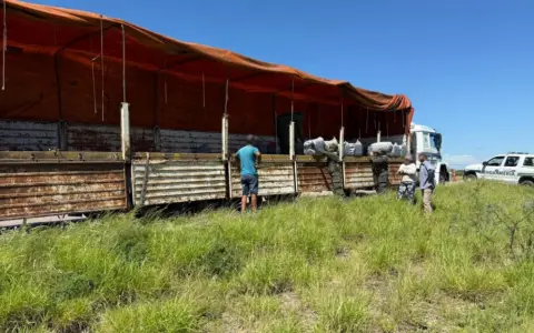 Secuestro de hojas de coca, cargamento que salió de Orán.