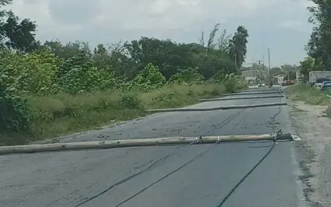 La fila de postes caídos sobre la ruta provincial 22