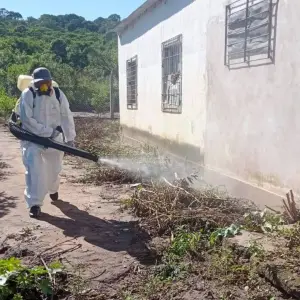 Fumigan casas en barrios de Salta donde se confirmaron casos de chikungunya