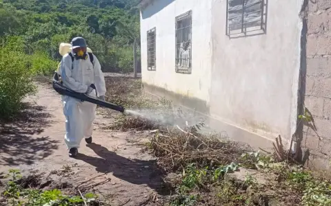 El mosquito se adapta al otoño si tiene el ambiente propicio