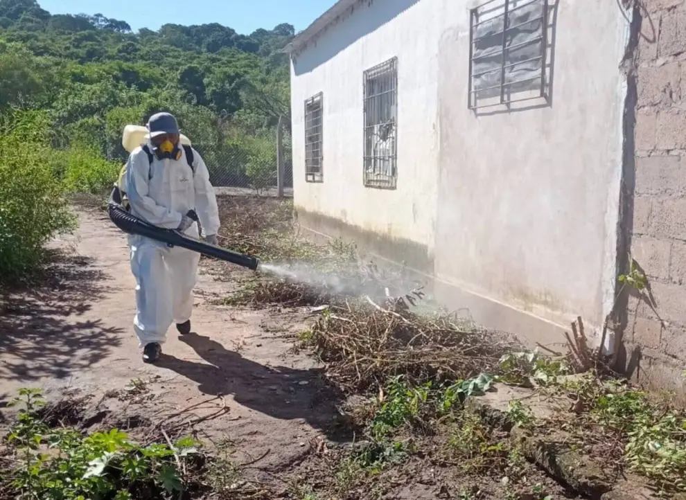 Las tareas de fumigación y descacharrado en Salvador Mazza continúan