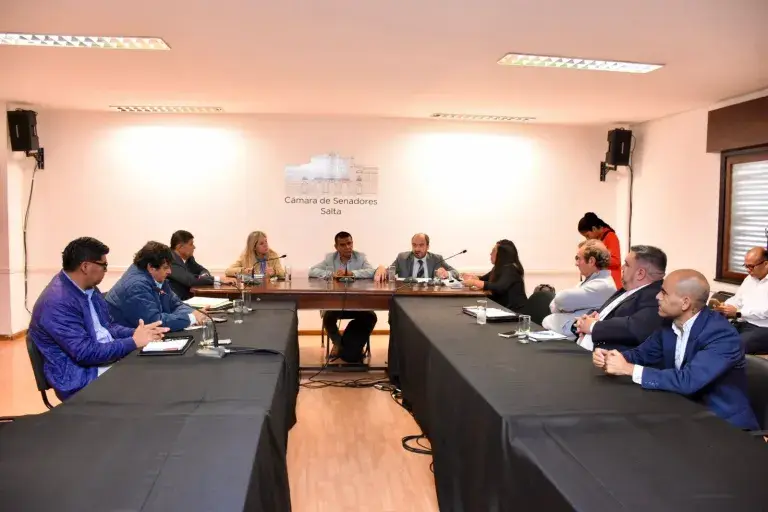 Senado, estudiantes