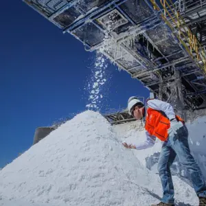 Vocación vs. bolsillo: qué sector lidera los salarios y cuáles son los trabajos peores pagos en Salta