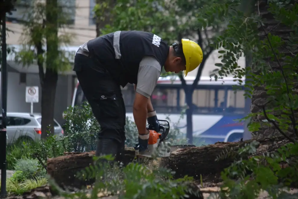 Personal de Prevención y Emergencias de la Municipalidad trabajando en la plaza Belgrano.