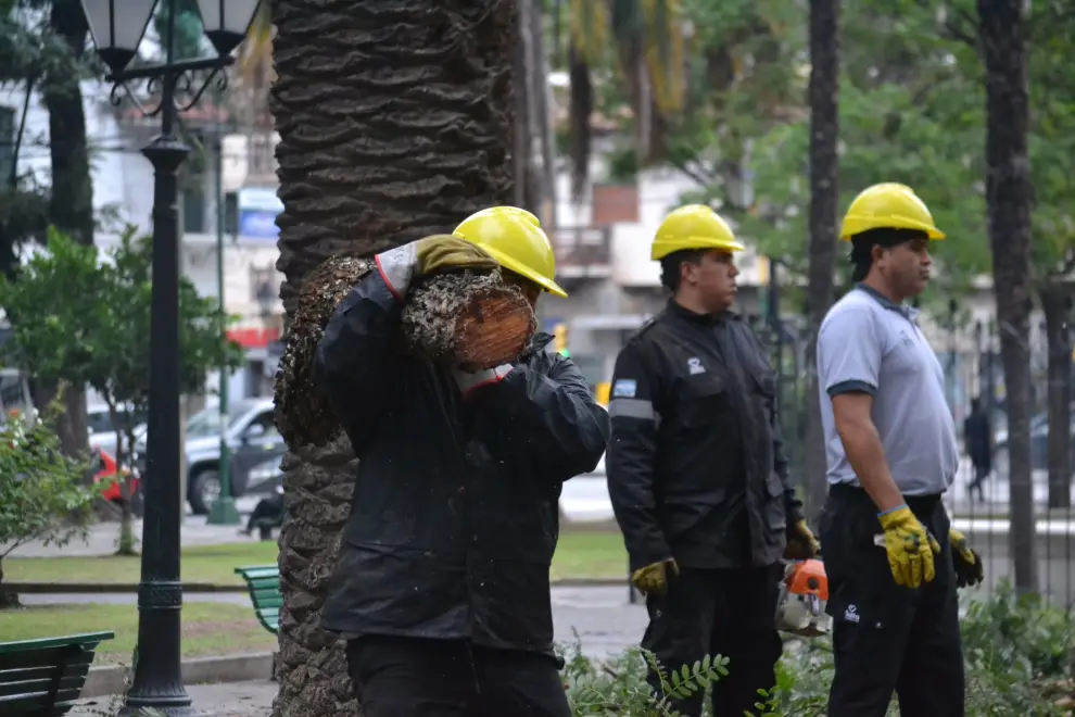 Personal de Prevención y Emergencias de la Municipalidad trabajando en la plaza Belgrano.