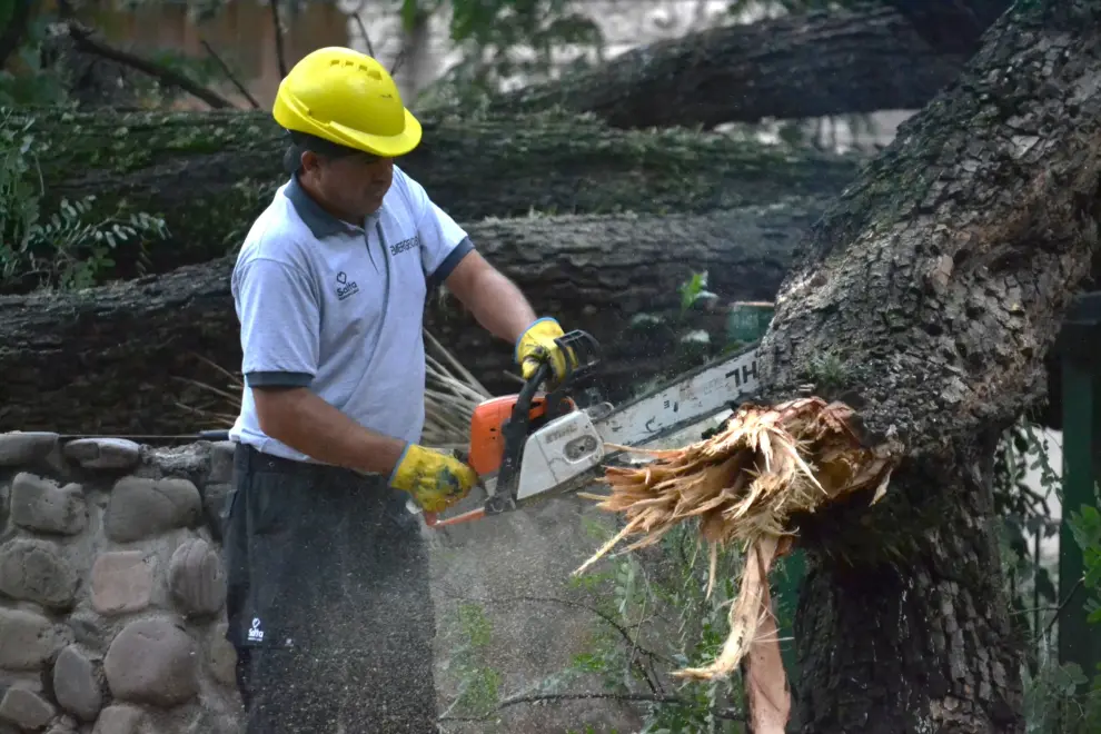 Personal de Prevención y Emergencias de la Municipalidad trabajando en la plaza Belgrano.
