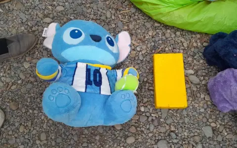 El peluche con la 10 de Messi, llevaba más de un kilo de cocaína.