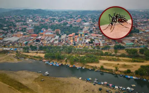 Foto: Javier Corbalán