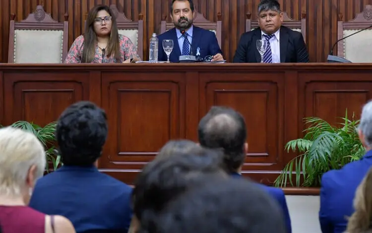 Convención Constituyente