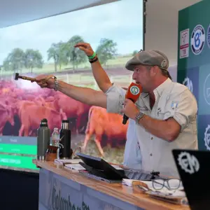 Récord en Expoagro: vendieron más de 38 mil cabezas de ganado en una jornada de 14 horas