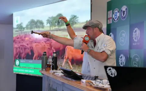 Expo agro 2026