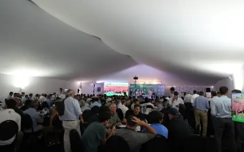 Expo agro 2026