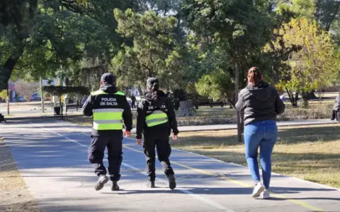 La policía pudo detener al ladrón tras los gritos de unos turistas