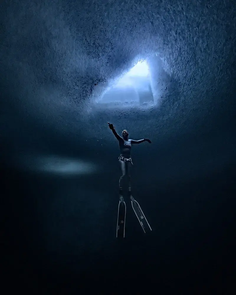 Alex Dawson - ballenas