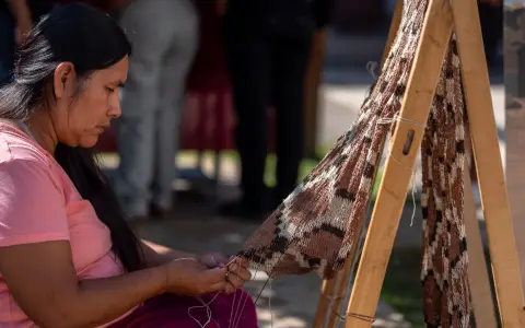 Mercado Artesanal de Salta, Día Internacional del Artesano 