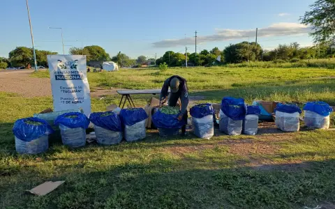 Las hojas de coca salieron de Orán con destino a Buenos Aires pero fueron interceptadas en Tucumán.