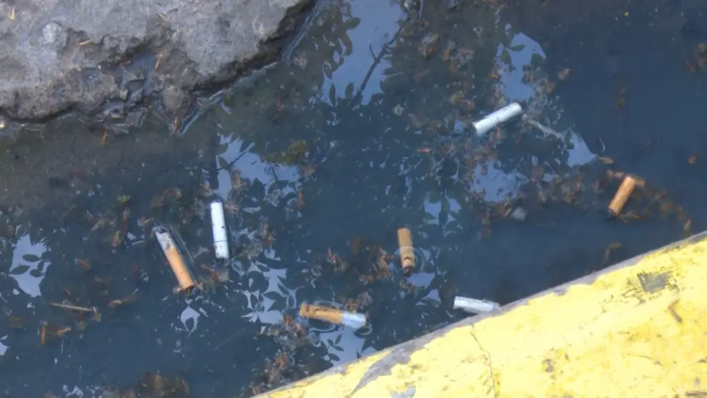 Estos residuos aparecen en calles, playas y espacios públicos todos los días.