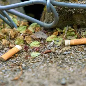 Revelan el impacto de las colillas de cigarrillos en el medioambiente después de 10 años