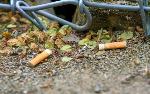 Las colillas de cigarrillos demoran en degradarse entre dos y diez años.