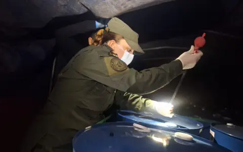 Personal de Gendarmería en medio del operativo.